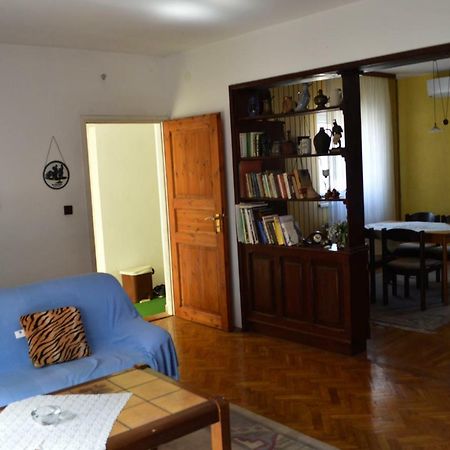 Bibinje Apartment Εξωτερικό φωτογραφία
